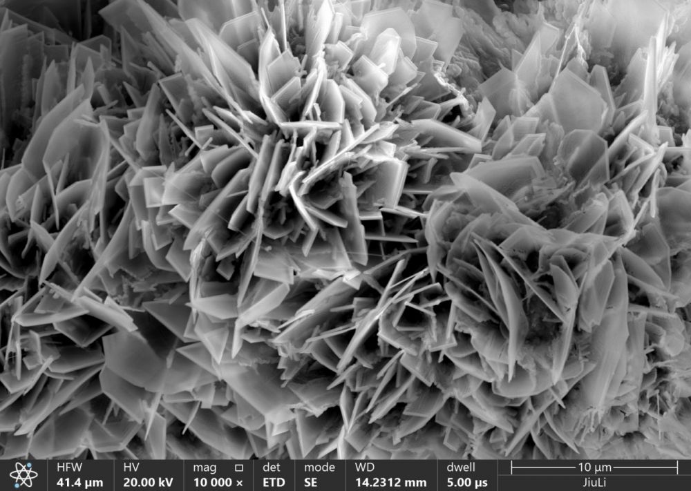 1xBET·Signup(中国区)-官方网站